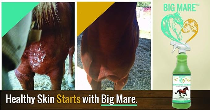 Big Mare All Purpose Horse Skin & Wound Care 32oz | First Aid: for Girth Itch, Insect & Fly Bites, Crud, Itchy Manes & Tails & Hair Loss | Vet Approved & Recommended