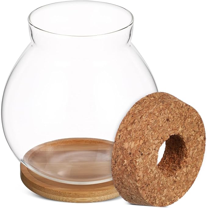 POPETPOP Desktop Glass Fish Bowl - Round Small Fish Tank with Wood Stopper & Bamboo Mat, Clear Glass Betta Fish Bowl for Succulent Plants, Hydroponic Air Plant (5.1X5.5 in)