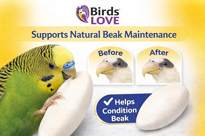 Birds LOVE 3.5-4″ Cuttlebones for Birds – 100% Natural Sun-Dried Calcium Carbonate Mineral Supplement – for Parakeets, Budgies, Cockatiels, Finches & Canaries – 4 lb with Holder – Made in Vietnam