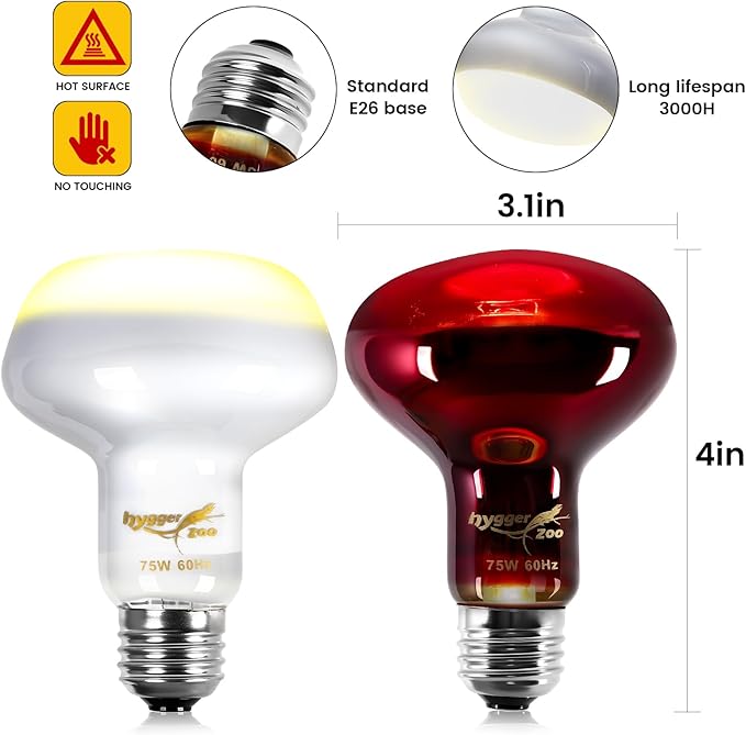75W Reptile Heat Lamp Bulbs 2-Pack — UVA Daylight & Infrared Night Combo, Efficient Basking Light for Bearded Dragon, Lizard, Turtle, Chicken, E26 Base
