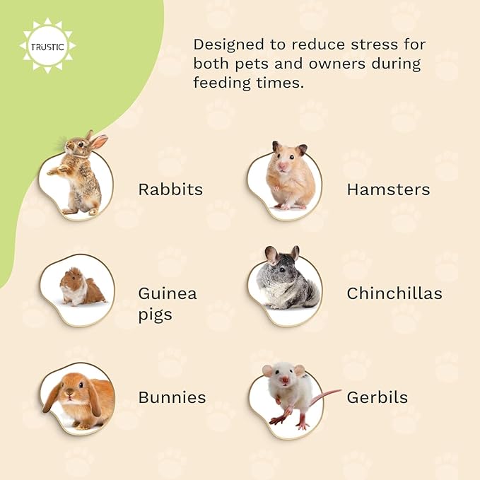 Hay and Food Feeder for Rabbit, Guinea Pig, Bunny, Chinchilla, Heavy Duty Metal Bin 5.5 x 5.5 x 7 inch (Pack of 1)