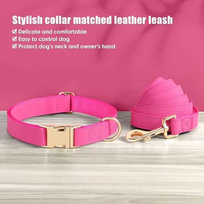 PET ARTIST Soft PU Leather Dog Collar and Leash Set, Bright & Stylish 5FT PU Leather Leash and Collar Set, Durable Pet Collars with Quick Release Metal Buckle for Large Dogs,Hot Pink,L(16-27")