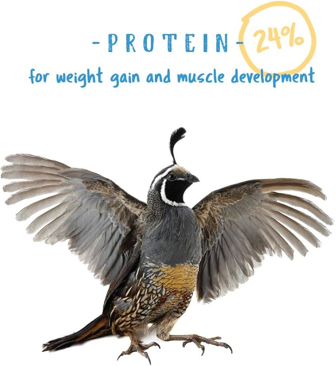 Manna Pro Gamebird Showbird Crumbles, Vitamin and Mineral Supplement for Poultry, Supports Growth, Feathering, and Overall Health, Complete Nutrition for Game and Show Birds, 6-Pack of 5 lb Bags