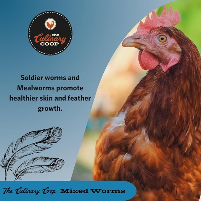 Fluker's Culinary Coop Bulk Dried Mealworms & Soldierworms, 5lbs-Premium Organic Non-GMO Dried Worm Mix for Chickens-High Protein & Omega 3 Chicken Feed for Wild Birds & Chicken Treats for Laying Hens