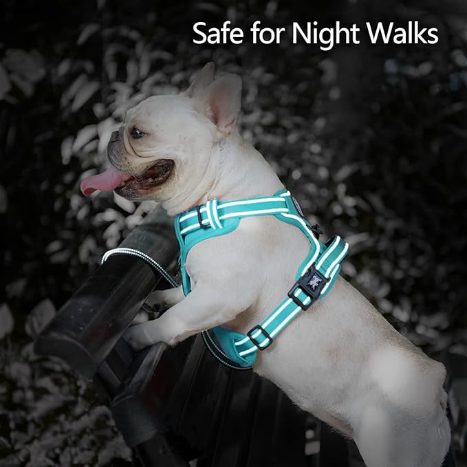 PoyPet No Pull Dog Harness, No Choke Reflective Dog Vest, Adjustable Pet Harnesses with Easy Control Padded Handle for Small Medium Large Dogs(Mint Blue Matching Trim,M)