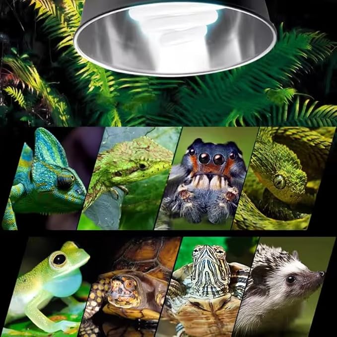 EatingBiting 2Pcs Reptile Heating Lamp Clamps Adjustable Fixture Turtle Dome St Plastic Easy Install Durable Portable Fish Tank Aquarium