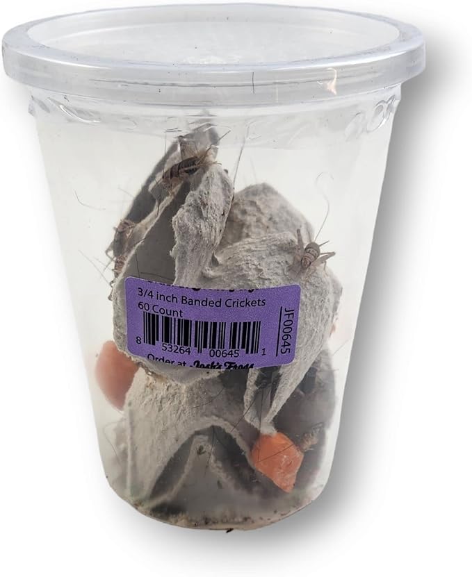 Josh's Frogs 3/4" Banded Crickets (60 Count)