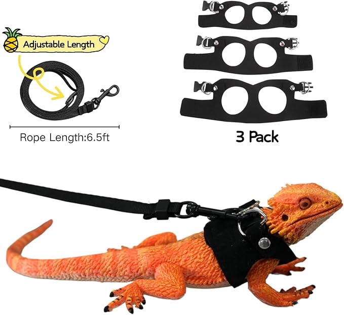 Bearded Dragon Harness Leash Set Harness 3PC S/M/L Soft Leather Vest Outdoor Walking Control Traction Rope for Lizard Reptile Iguana Gecko (Black)