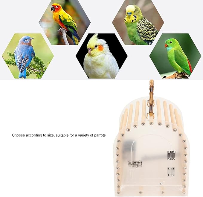 Lightweight Bird Travel Bag Portable Bird Cage Escape Portable Travel Bird Carrier Circular Arc Small Transparent Acrylic Travel Bird Carrier for Bird Parakeets