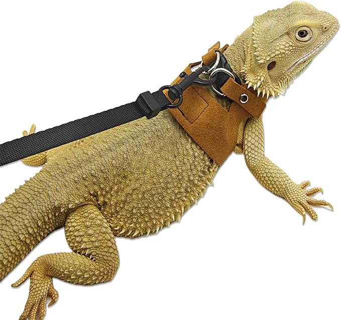 Bearded Dragon Harness Leash Set Harness 3PC S/M/L Soft Leather Vest Outdoor Walking Control Traction Rope for Lizard Reptile Iguana Gecko (Brown)