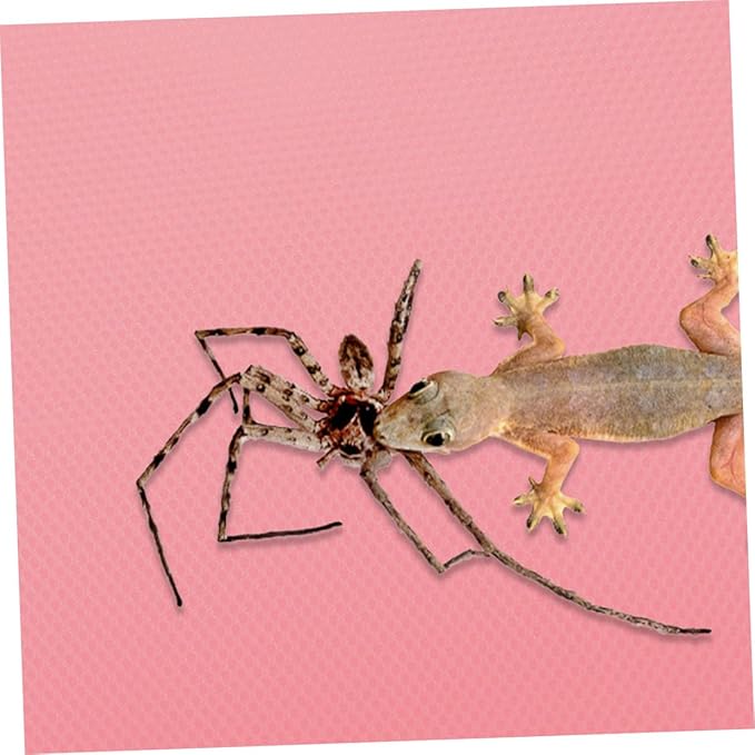 GANAZONO Reptile Habitat Carpet Mat EVA Substrate Soft Non-Slip Bedding Liner for Leopard Gecko Bearded Dragon Snake Tortoise Terrarium Tank Accessories Pink