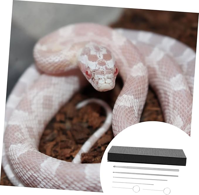 Mipcase Kit for Reptiles 6pcs Snake Probe Set Snake Gender Probe Reusable and Sturdy Portable Design