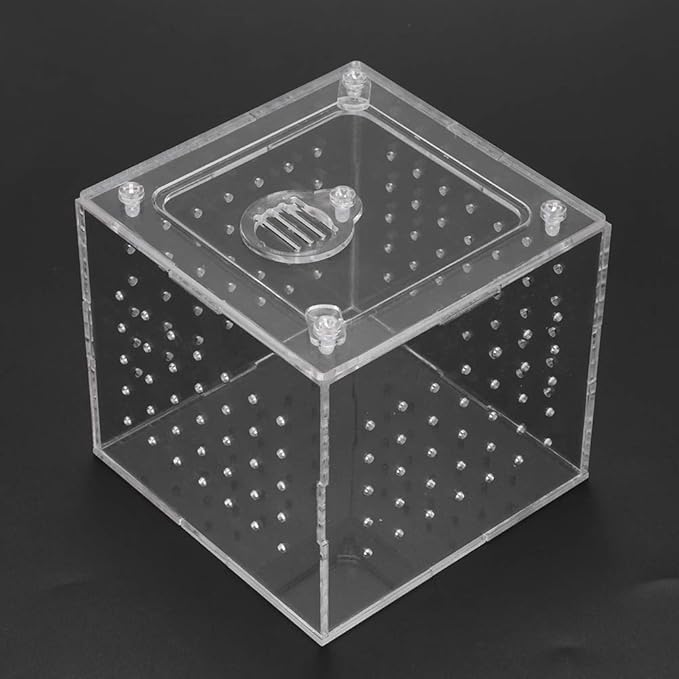 Reptile Breeding Tools, Reptile Hatching Supplies, Lizard Breeding Acrylic Box Case Insects House 1Pc Reptile Terrarium Feeder Snakes Spider