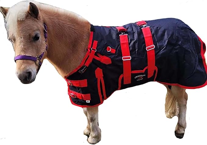42" 1200D Miniature Weanling Donkey Pony Horse Foal Winter Blanket Red BLK 51946