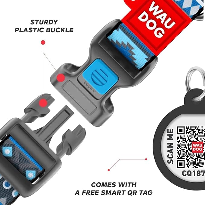 Nylon Dog Collar and Leash Set - Adjustable Dog Collar for Large Dogs, Small & Medium Dogs - Puppy Collars for Large Breed - Boy & Girl Collars with Durable Plastic Buckle and QR Tag