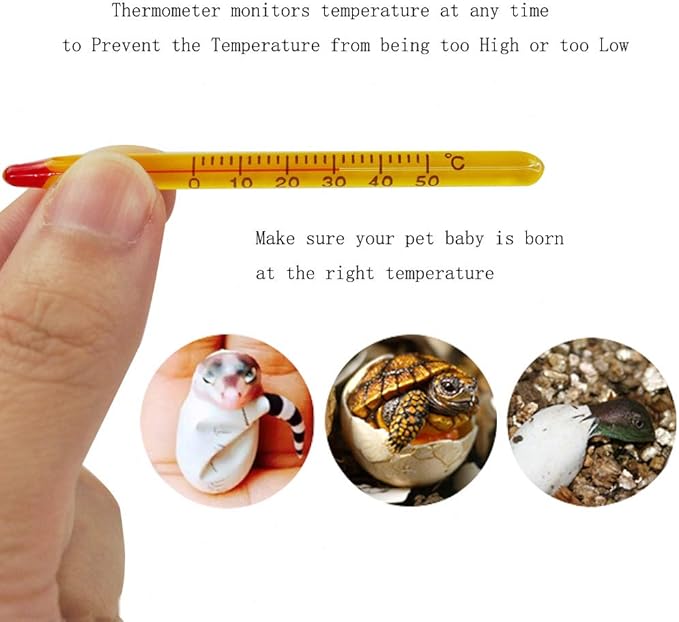 OMEM Reptile Breeding Box, Reptile Egg Incubators, Hatchery Box, for Hatching Gecko, Lizards, Lions Mane, Reptiles (Thermometer, Transparent Box)