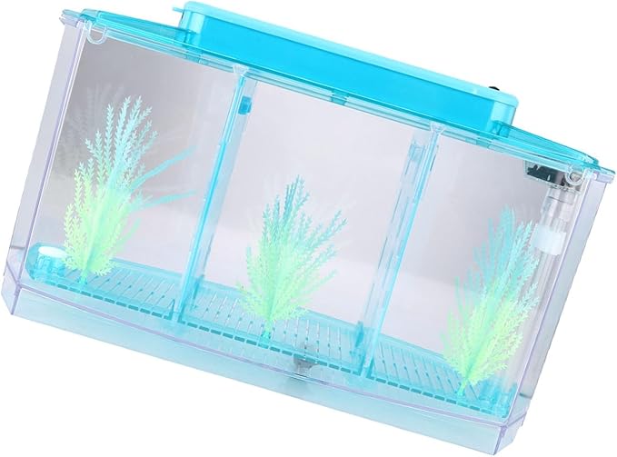 Fockety Breeding Fish Tank LED Acrylic, Three Divisions Isolation Box for Small Fishes with Artificial Grass, Water Change Valve and Filter Bubble Head with Activated Carbon (Blue)