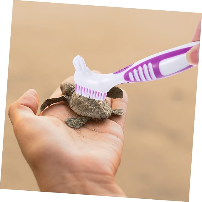 INOOMP 2pcs Turtle Shell Cleaning Brush Durable Double-Sided Brush for Easy Mud and Dirt Removal Ergonomic Handle for Aquatic Tortoise and Turtle Care Versatile Use for Tanks and Shells