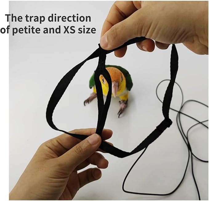 Adjustable Bird Harness with 78.7 Inch Leash, Outdoor Flying Training Rope Kit for Bird Parrots, Parrot Flying Rope Straps Outdoor Training Traction Rope for Small Medium Large Size Birds (XS)