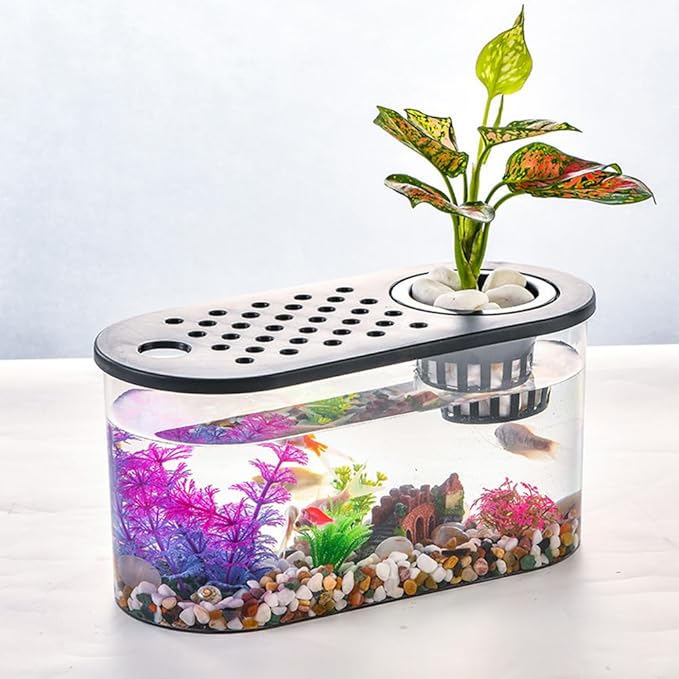 Small Turtle Tank Kit, Reptile Aquarium with Basking Platform, Decor Stones & Water Grass – Habitat for Turtles, Hermit Crabs, Fish – Ideal for Home or Office (12" x 6" x 12")
