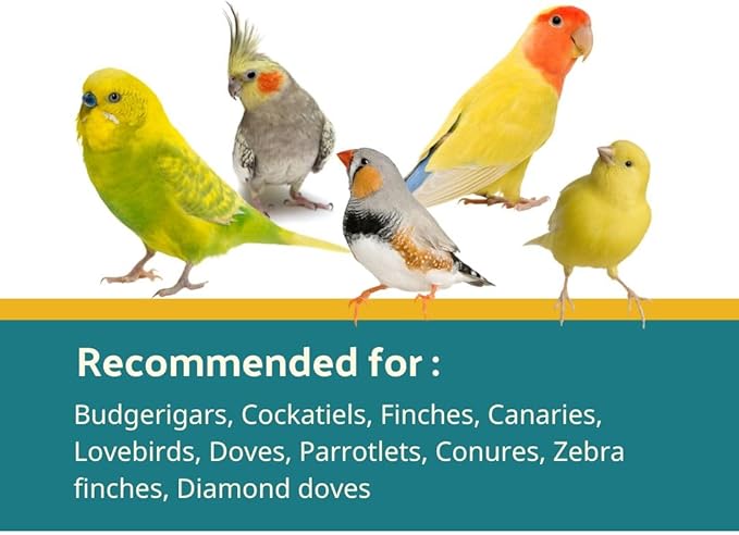 Cédé Eggfood Moist Allround Tropical Fruit 400g – 2 Pack of Daily Diet Bird Food for Cockatiel, Canaries, Finches, Lovebird and Exotic Birds, Protein-rich Bird Supplement, Added Vitamins & Minerals