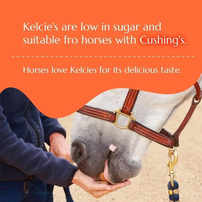 Horses Treats - Low Sugar, Starch, and Carbohydrates | Healthy Treats for Horse Supports Superior Digestion (15 Pound Refill (Pack of 1))