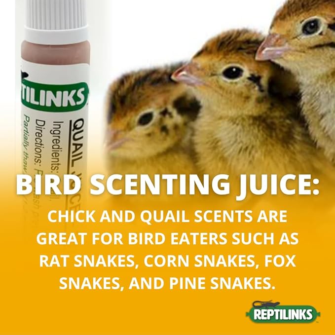 Quail Juice – All-Natural Quail Scent for Snakes – Enhances Feeding Response – No Dyes or Preservatives – Reptile Food – USA Made