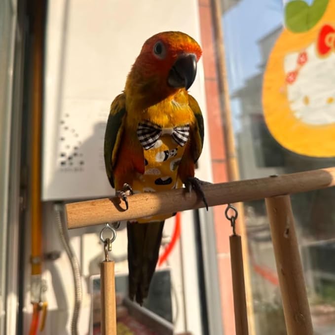 3PCS Bird Diaper with Adjustable Shoulder Strap Washable Parrot Diapers Reusable Bird Flight Suit Nappies Protective Breathable Nappy Clothes for Parakeet Macaw Conure (Macaw)