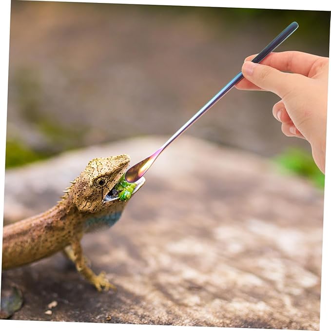 BESPORTBLE 3pcs Reptile Food Spoon Long Handle Small Pet Food Scoop for Tortoise Iguana