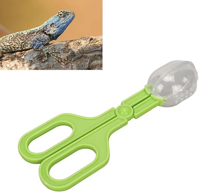 Reptile Poop Scoop, Scissor Handle Transparent Multipurpose Reptile Feeding Clamp for Tortoise for Spider (Green)