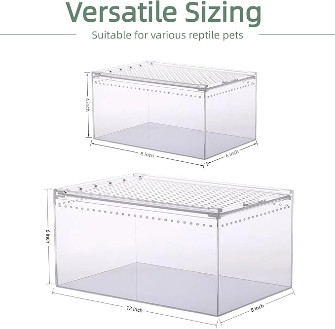 12x8x6 Inch Terrarium with Magnetic Top Sliding Lid, Clear View Critter Keeper & Spider Enclosure, Jumping Spider/Tarantula Habitat, Hermit Crab Tank, Tadpole to Frog Kit