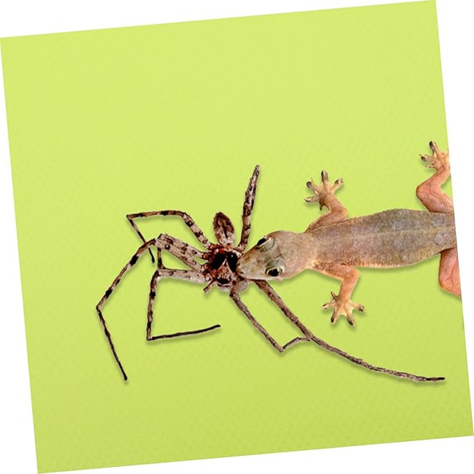Angoily Terrarium Carpet Reptile Bedding Reptile Substrate for Tank Nonslip Mat for Bearded Dragon Lizard Snake Leopard Gecko
