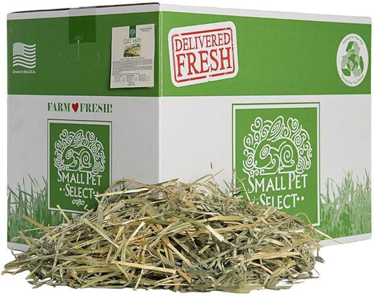 Small Pet Select Oat Hay Pet Food, 20 lb.