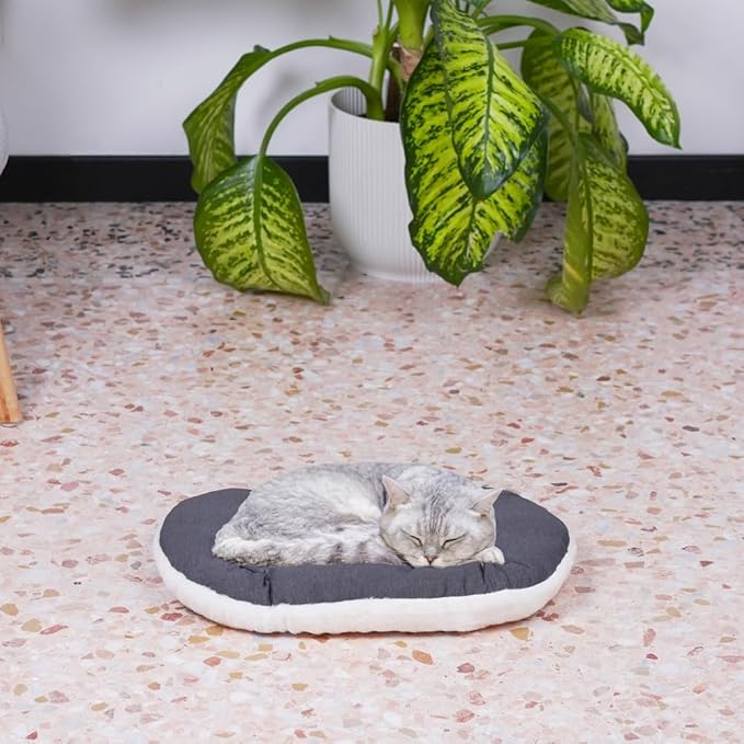 Ferplast Relax Dog Cat Bed, 43 x 30 x 5 cm (L x W x H), Grey