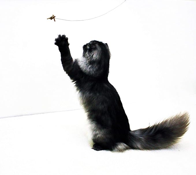 Cat Dancer 101 Cat Dancer Interactive Cat Toy, 3 Pack - Image 3