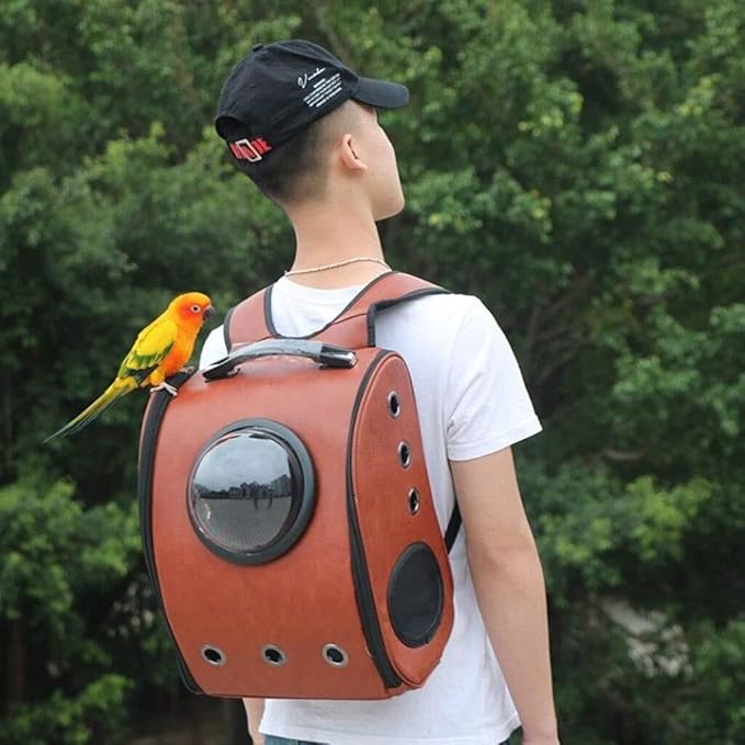 Breathable Bird Backpack Travel Cage for Parakeets, Parrots & Small Birds, Transparent Round Cover with Double Open Zipper, Anti-Lost Hook