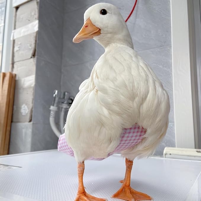 Duck Diapers, Chicken Diapers, Special Diapers for Poultry, Chicken, Duck and Goose Waterproof, Adjustable, Washable and Reusable Diapers，Poultry Supplies, Duck Supplies (6.06LB-8.82LB)