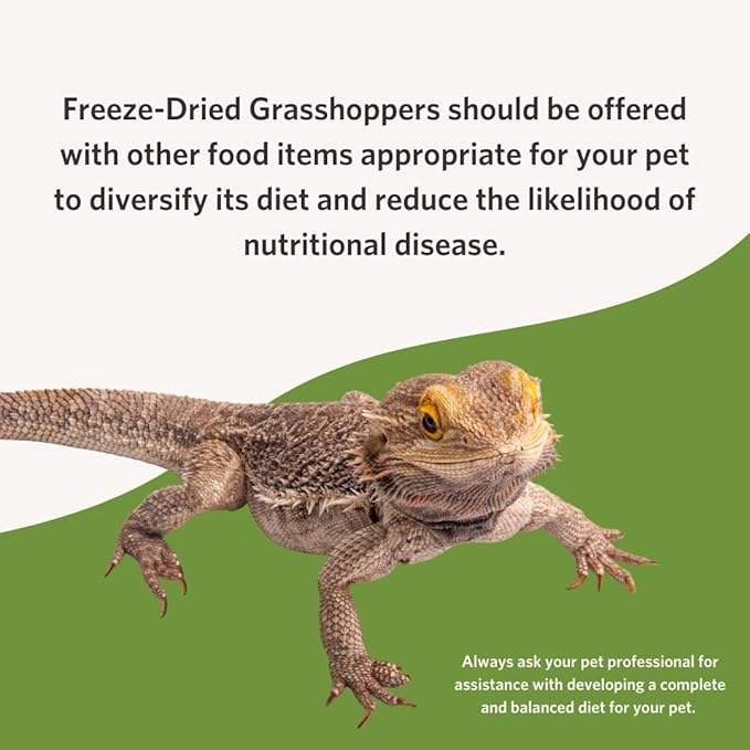 Fluker's Freeze Dried Grasshoppers for Reptiles, Packed with Protein and Essential Nutrients, 1 lb. Value Pack