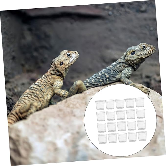 Yardwe 30pcs 20ml Reptile Feeding Cups Set Washable and Reusable Measurement Cups for Lizards Stylish Storage for Food and Water