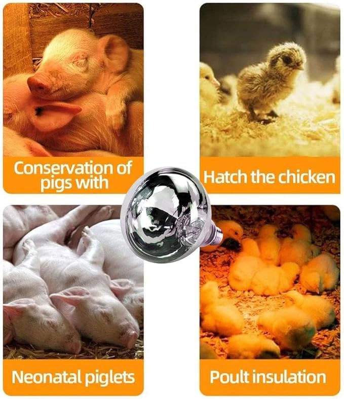 Poultry 220V Infrared Heating Lamp Thermal Preservation Light Bulbs for Reptile Amphibian Pet Livestock 100/150/200/250W