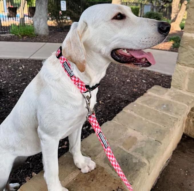 Lucky Love Dog - Easy Click Buckle Dog Collar with Leash Set Combo, Durable & Comfortable for Male & Female Dogs, Pet Collar for Medium Dogs, Secure Fit - Bailey Combo, Medium