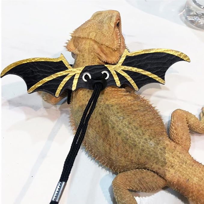 CoguZed Bearded Dragon Leash and Harness Set, Adjustable Lizard Harness, Soft Leather Reptile Costume, Cool Dragon Wing Outfits for Bearded Dragon Lizards(S,M,L, 3 Pack)