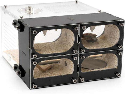 Acrylic Ant Farm Terrarium – Formicarium Ant Nest Habitat System, Observation Chambers for Live Ants & Queen – Educational for Adults