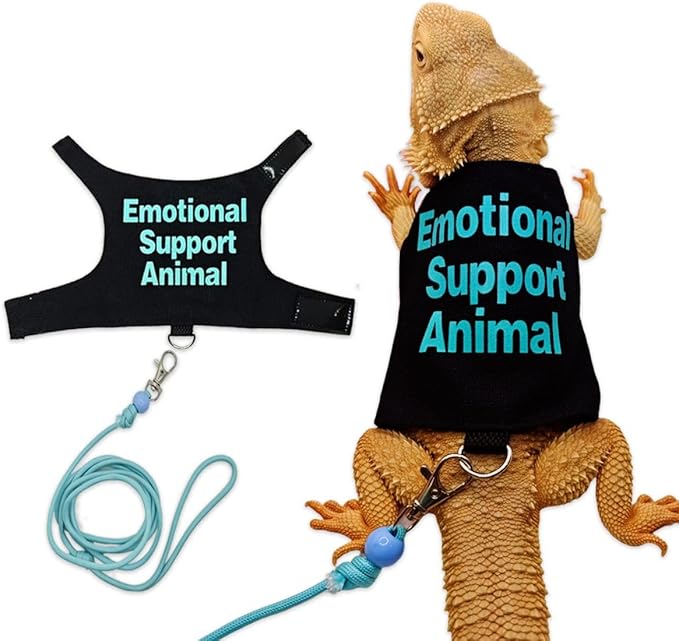 3 Sets - Bearded Dragon Lizards Clothes with Leash Set for Small Pets Reptiles Guinea Pig Apparel Lizards Outdoor Walking Training Harness Leash Hand-Made Costume Photo Prop