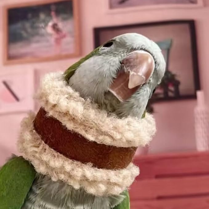 Pet Parrot Anti-Bite Elizabethan Collar, Neck Shield Anti-Grab Feather Plucking Wound Healing Safety Recovery Collar Cones for Budgerigar Lovebird Random Color (L)