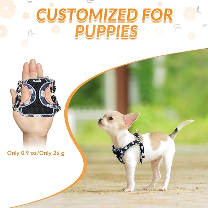 Lukovee No Pull Puppy Harness and Leash Set - Soft Lightweight Escape Proof Puppy Vest Harness, Breathable Adjustable Pet Harness with Dog Leash for Small Dogs (Black, M)