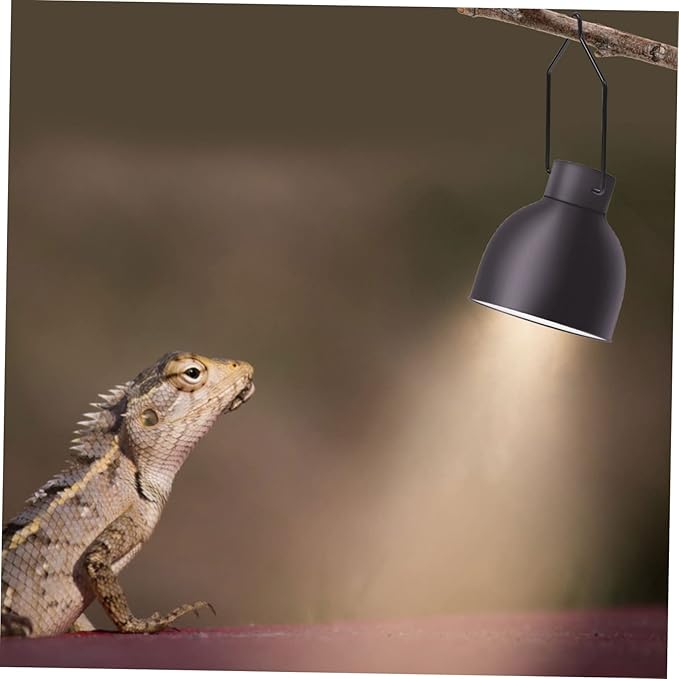 DOITOOL 10pcs Reptile Lampshade Clips Sturdy Iron Clamps for 5.5 or 8.5 Inches Lampshade Fixation User-Friendly