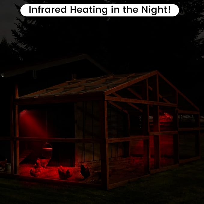 Heat Lamp for Chickens Coop Brooder and Reptile Heat Bulb 150 Watt Infrared Red Light