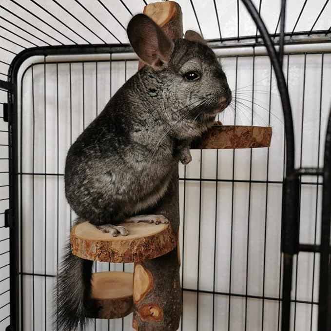 Chinchilla Large Hanging Wooden Rotating Platform - Small Animal Natural Fruit Wood Standing Platform for Squirrels, Sugar Gliders & Birds