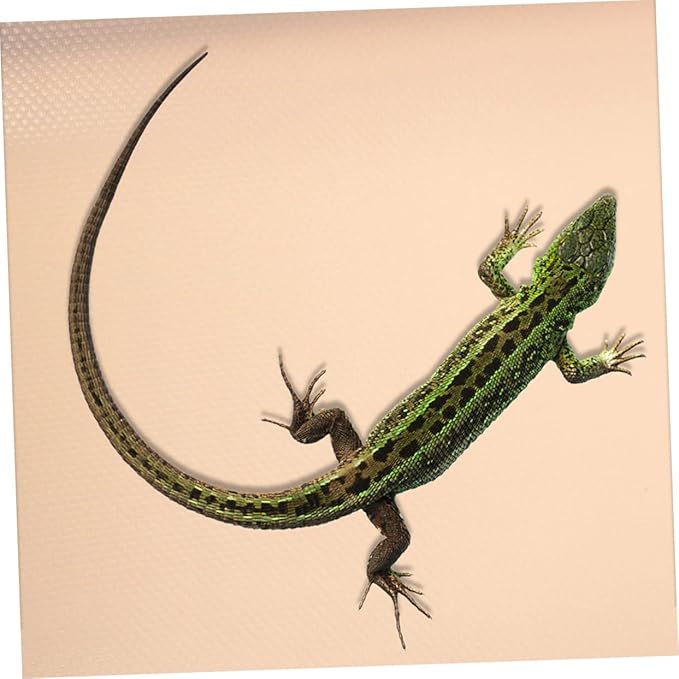 Toddmomy Reptile Carpet Mat for Bearded Dragon Gecko Snake Sturdy Terrarium Liner Non-Slip Substrate Bedding for Reptile Cage Accessories
